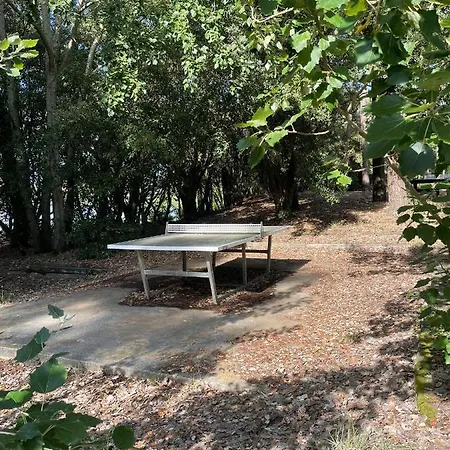 Studio/cabine 4/5 Personnes